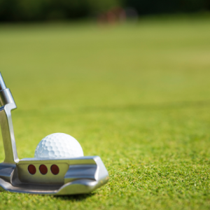 palo de golf putter